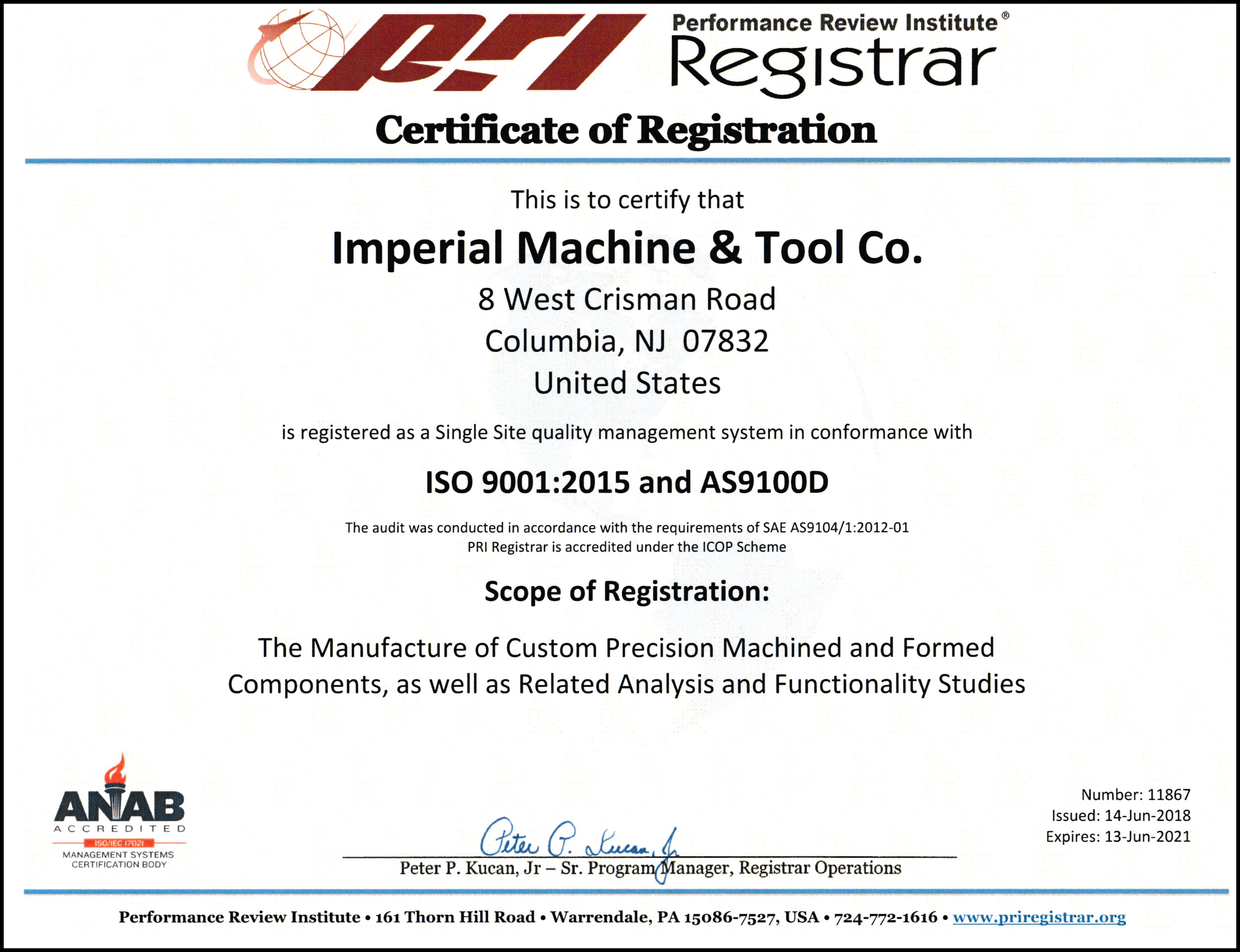 iamssgwページ Massive Audio P65Z - 6.5